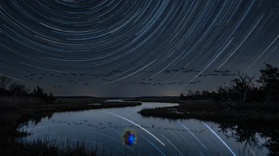 A long-exposure photograph of a coastal wetland on a clear night during bird migration, star trails arcing overhead from a 2-hour exposure, and the dark shapes of ducks and geese visible in the sky as