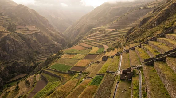 Traditional Inca terraced agriculture in Peruvian sierra, 500-year-old andenes stone retaining walls stepping down the valley, different crop altitudes visible in colour variation, pre-Columbian