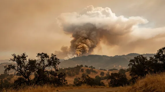 Wildfire smoke column over a California forest seen from 50km away, the smoke tower rising 8km into the atmosphere, the base dark brown and convective, the top spreading into an anvil of lighter white