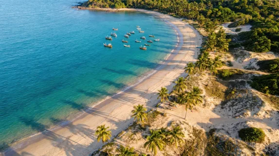 Pristine sandy beach curves gently along crystalline water transitioning from pale green shallows to deep sapphire depths, scattered palm trees dot the shoreline creating