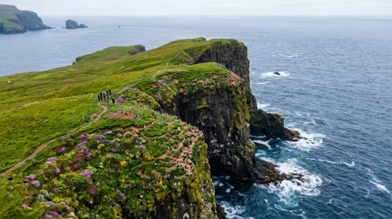 an overhead view of the coastal scene, showcasing the breathtaking cliffs, colorful puffin nesting sites, and the vibrant patches of wildflowers against the stunning