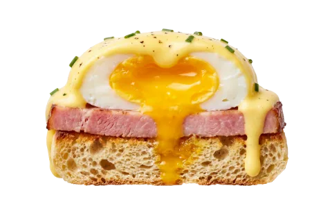 Classic eggs benedict cross-section showing layered composition: toasted English muffin with visible crumb texture, pink cured ham, two poached eggs with