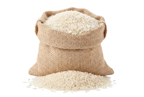 Overflowing burlap sack of long-grain white rice with grains spilling onto surface, coarse fabric texture visible, warm beige and cream tones, isolated on pure