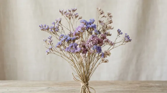 Dried Limonium flowers with papery petals and delicate branching stems, isolated high-resolution botanical arrangement in soft neutral light, airy and preserved, ultra-realistic, no logos.