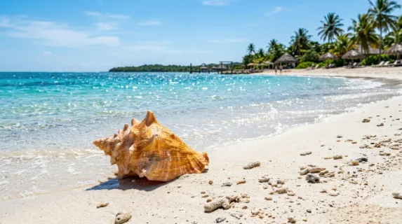 A golden conch shell resting on white sandy shore, azure water sparkling under bright sunlight, crisp coastal textures and peaceful resort atmosphere, ultra-realistic, no logos.