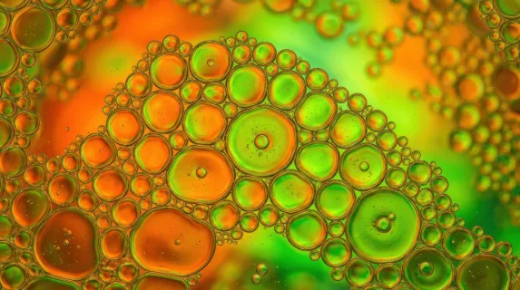 Macro oil bubbles forming vibrant orange and green cells, smooth gradients, soft lighting and bold abstract organic rhythm, ultra-realistic, no logos.