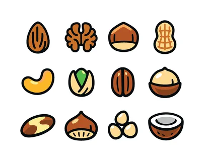 Edible nuts variety: almond, walnut, hazelnut, peanut in shell, cashew, pistachio, pecan, macadamia nut, brazil nut, chestnut, pine nut, coconut half