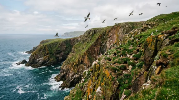a breathtaking wide shot showcasing puffins soaring gracefully above rugged coastal cliffs, with colorful nesting sites nestled among the rocky terrain. the deep blues