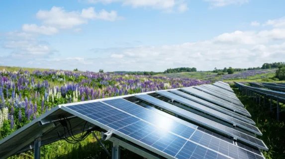 a graphic composition of rows of solar panels reflecting bright sunlight, showcasing a clean, minimalistic design with generous negative space that can accommodate text
