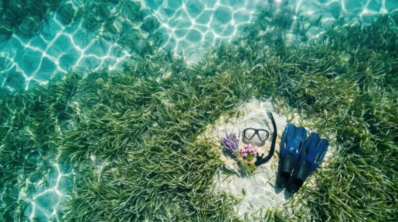 an overhead view of the snorkeling gear arranged on a sprawling bed of vibrant seagrass, with lavender flowers adding pops of purple and pink. the sunlight filtering