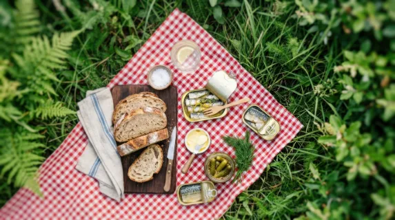 an overhead view of the gingham picnic setup with a diagonal crop that captures the arrangement of tinned fish, crusty bread, and pickles, framed by lush greenery. the