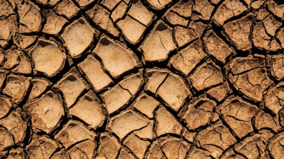 Abstract macro of cracked dry earth surface during extreme drought, the mud fractured into irregular polygon tiles of varying sizes, edges of each tile curling upward
