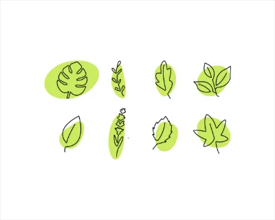 A variety of stylized leaves and floral elements are depicted in minimalist black line art, each set against a soft green oval shape