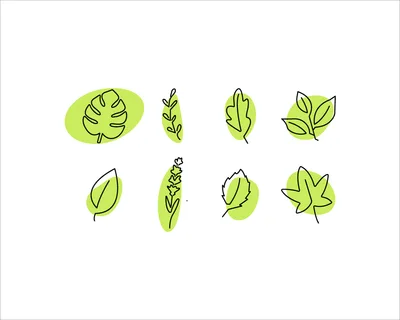 Collection of simple line art botanical illustrations with bright green abstract shapes