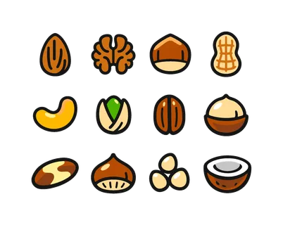 Edible nuts variety: almond, walnut, hazelnut, peanut in shell, cashew, pistachio, pecan, macadamia nut, brazil nut, chestnut, pine nut, coconut half