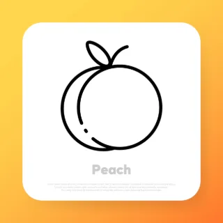 Peach icon. Fruit icon. Watercolor style. Vector line icon for Business and Advertising.