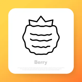 Raspberry line icon. Berry icon. Vector line icon for Business and Advertising.