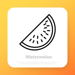 Watermelon line icon. fruit icon. Vector line icon for Business and Advertising.