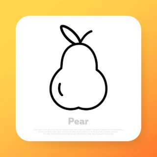 Pear line icon. Fruit icon. Vector line icon for Business and Advertising.