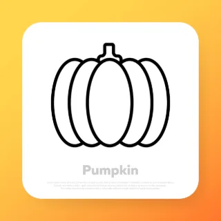 Pumpkin line icon. Thanksgiving concept. Vector line icon for Business and Advertising.