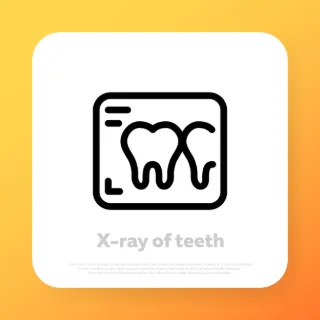 X ray of teeth icon. Dental anatomy. Professionals of ontology work. Dental clinic. Vector line icon for Business and Advertising.