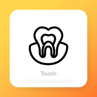 Tooth icon. Dental health care concept. Dentistry clinic or dentist medical center. Vector line icon for Business and Advertising.