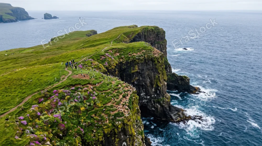 an overhead view of the coastal scene, showcasing the breathtaking cliffs, colorful puffin nesting sites, and the vibrant patches of wildflowers against the stunning