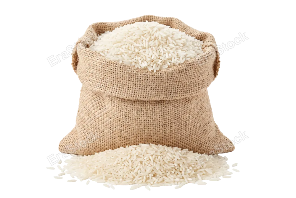 Overflowing burlap sack of long-grain white rice with grains spilling onto surface, coarse fabric texture visible, warm beige and cream tones, isolated on pure