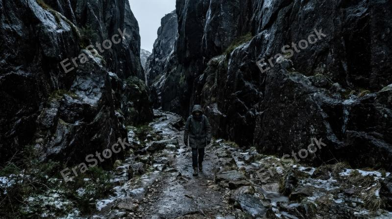 A scene under the cold dark shadow, deep contrast, sparse surroundings, moody tones, mysterious and quiet atmosphere, ultra-realistic, no logos.
