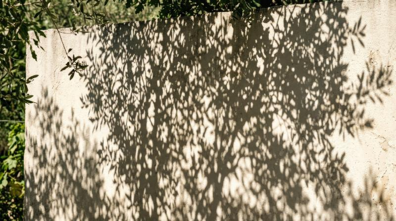 Leafy branch shadows cast on a wall, dappled summer light creating subtle organic movement and elegant natural contrast, ultra-realistic, no logos.