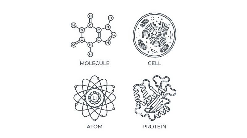 Molecule, cell, atom and protein icons in an editable outline set with scientific precision, clean laboratory-inspired visual language on white, ultra-realistic, no logos.