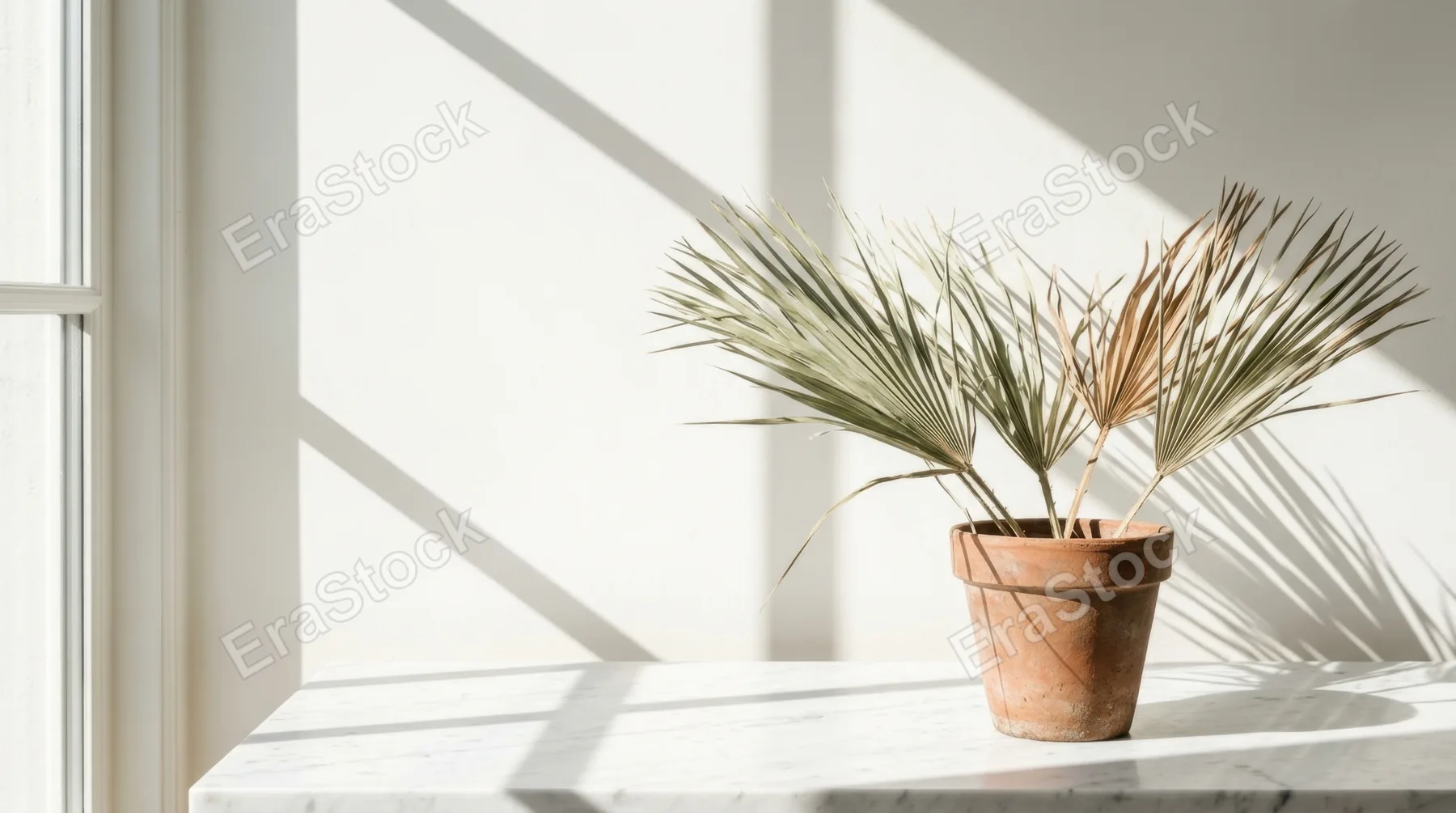 Dried palm fronds in a simple terracotta pot on white marble surface, geometric shadows cast by window light creating bold lines across the composition, muted sage green