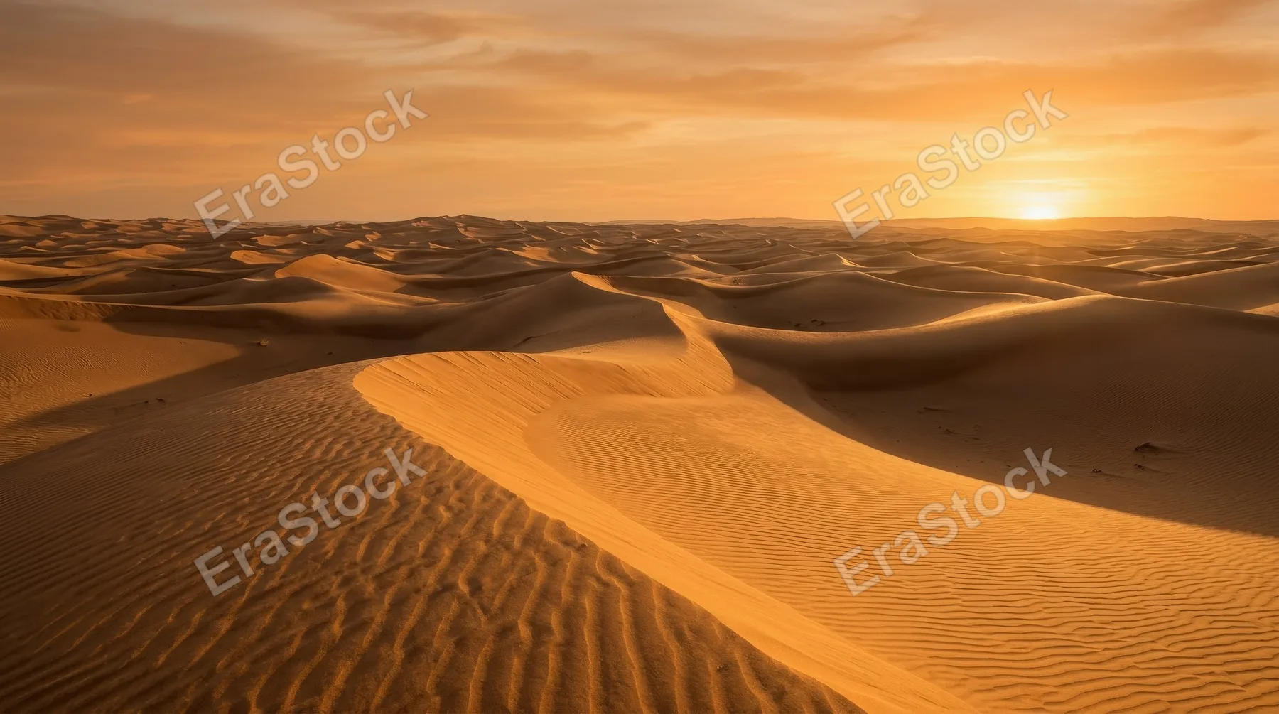 Rolling golden desert dunes stretching beneath a warm orange sky, fine rippled sand textures and long soft shadows, serene sunlit atmosphere, ultra-realistic, no logos.