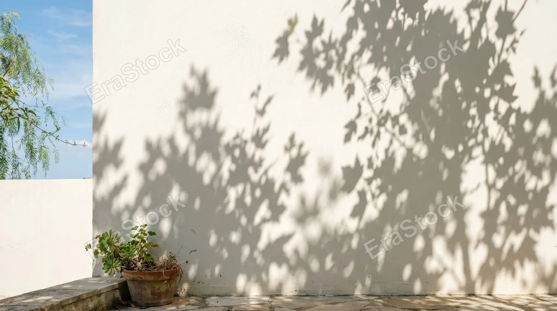 Soft tree leaf shadows falling over a white wall in bright summer light, gentle botanical silhouettes and clean airy minimalism, ultra-realistic, no logos.