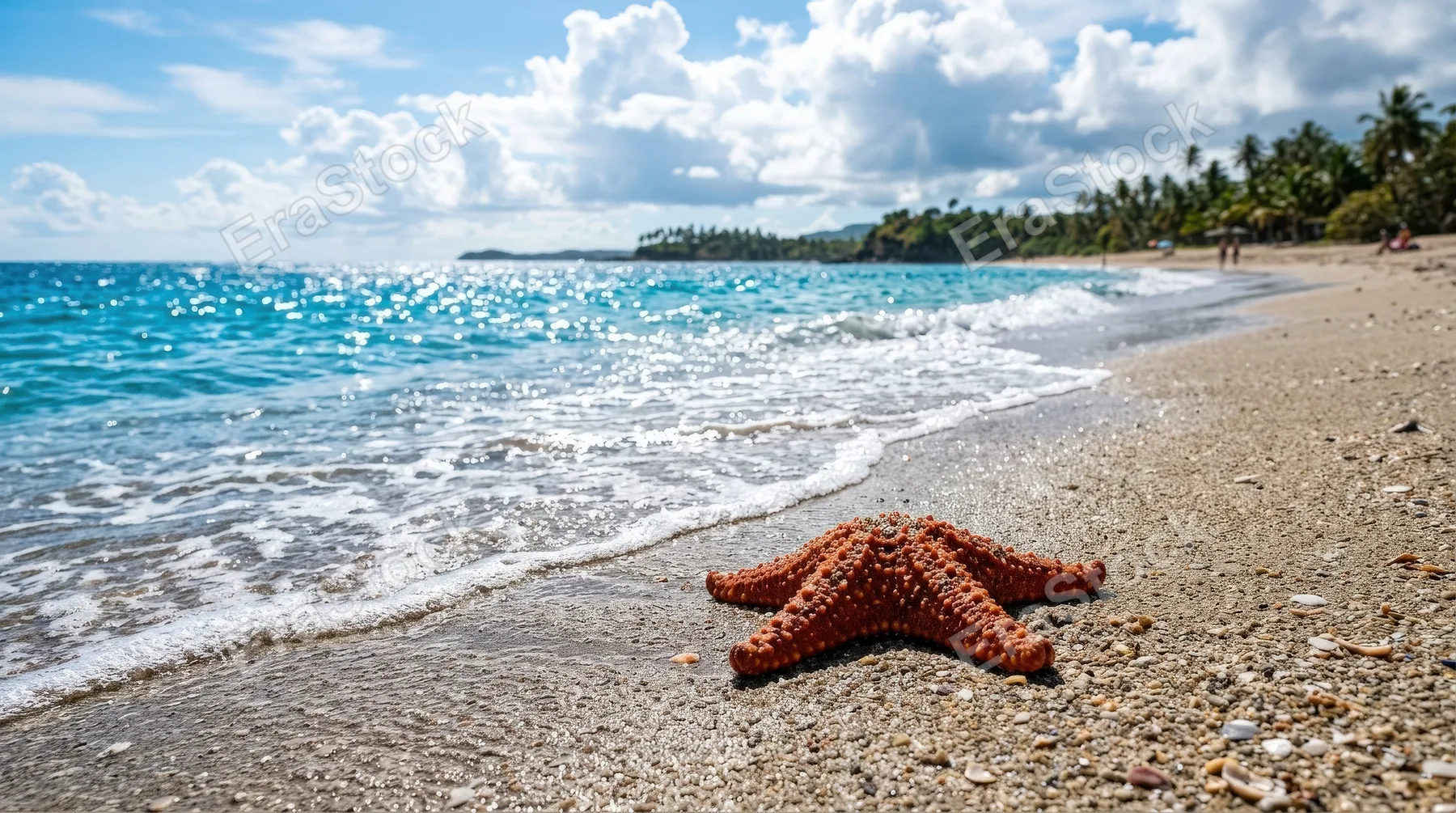 A starfish lying on sandy beach near sparkling azure ocean water under a bright cloudy sky, vivid summer textures and peaceful coastal paradise mood, ultra-realistic, no logos.