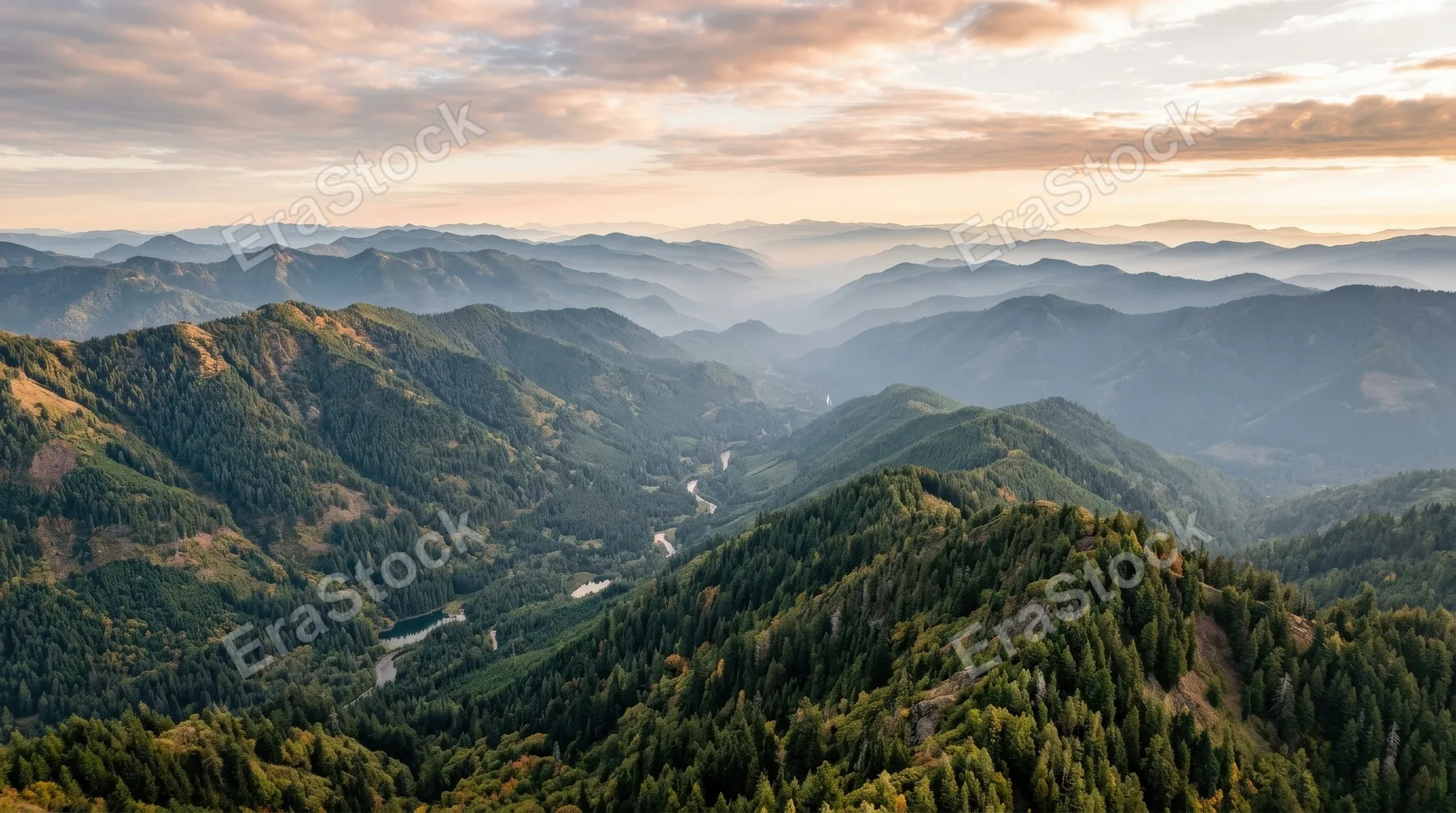 Aerial view of a beautiful forested mountain landscape, rolling tree-covered ridges fading into atmospheric haze, expansive natural depth and tranquil wilderness mood, ultra-realistic, no logos.
