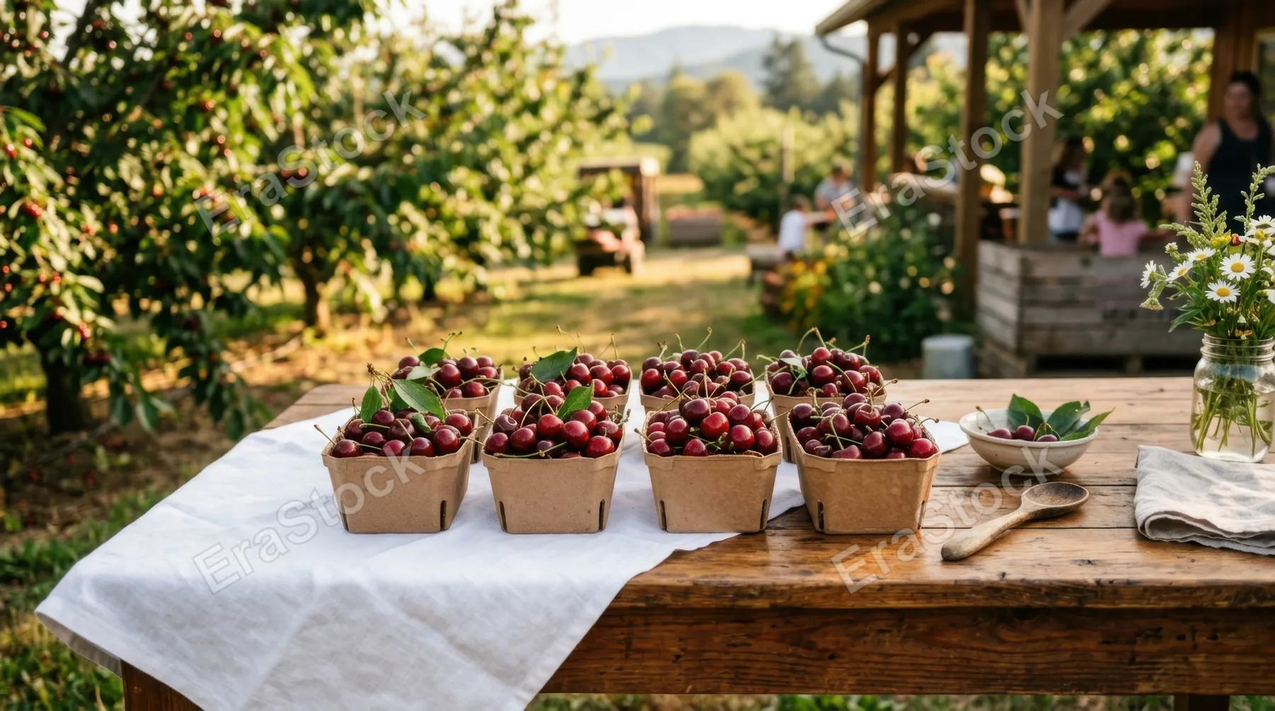 a sunlit outdoor scene showcasing vibrant fresh cherries arranged neatly in paper punnets, centrally placed on a warm wooden table. the composition features a crisp white