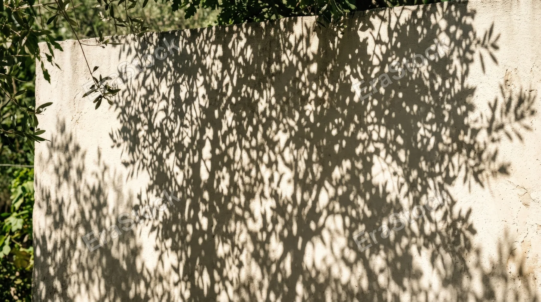 Leafy branch shadows cast on a wall, dappled summer light creating subtle organic movement and elegant natural contrast, ultra-realistic, no logos.