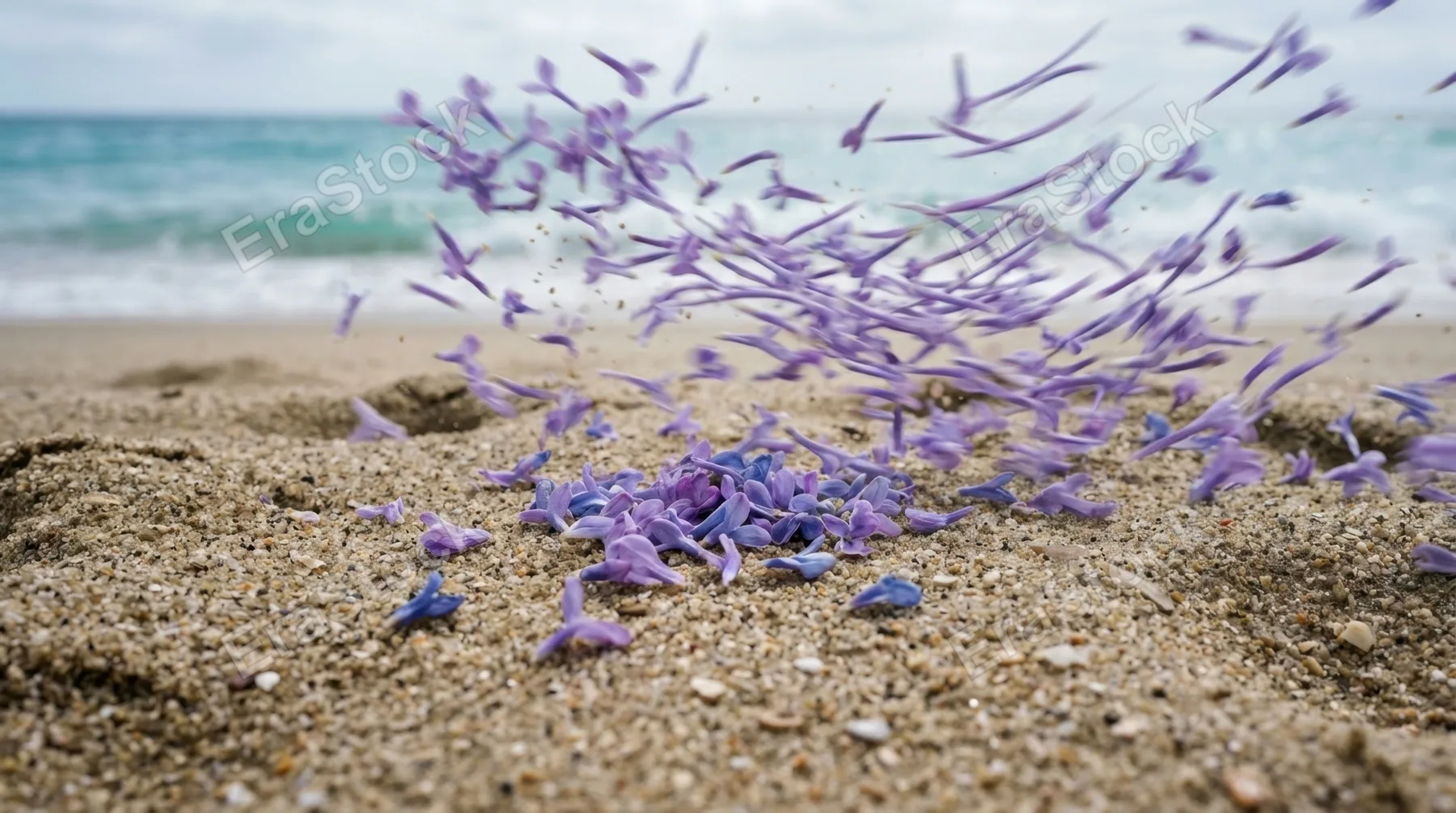 an intimate close-up of delicate lavender petals scattered across the sandy beach, gently lifted by a soft breeze. the texture of the sand contrasts with the vibrant