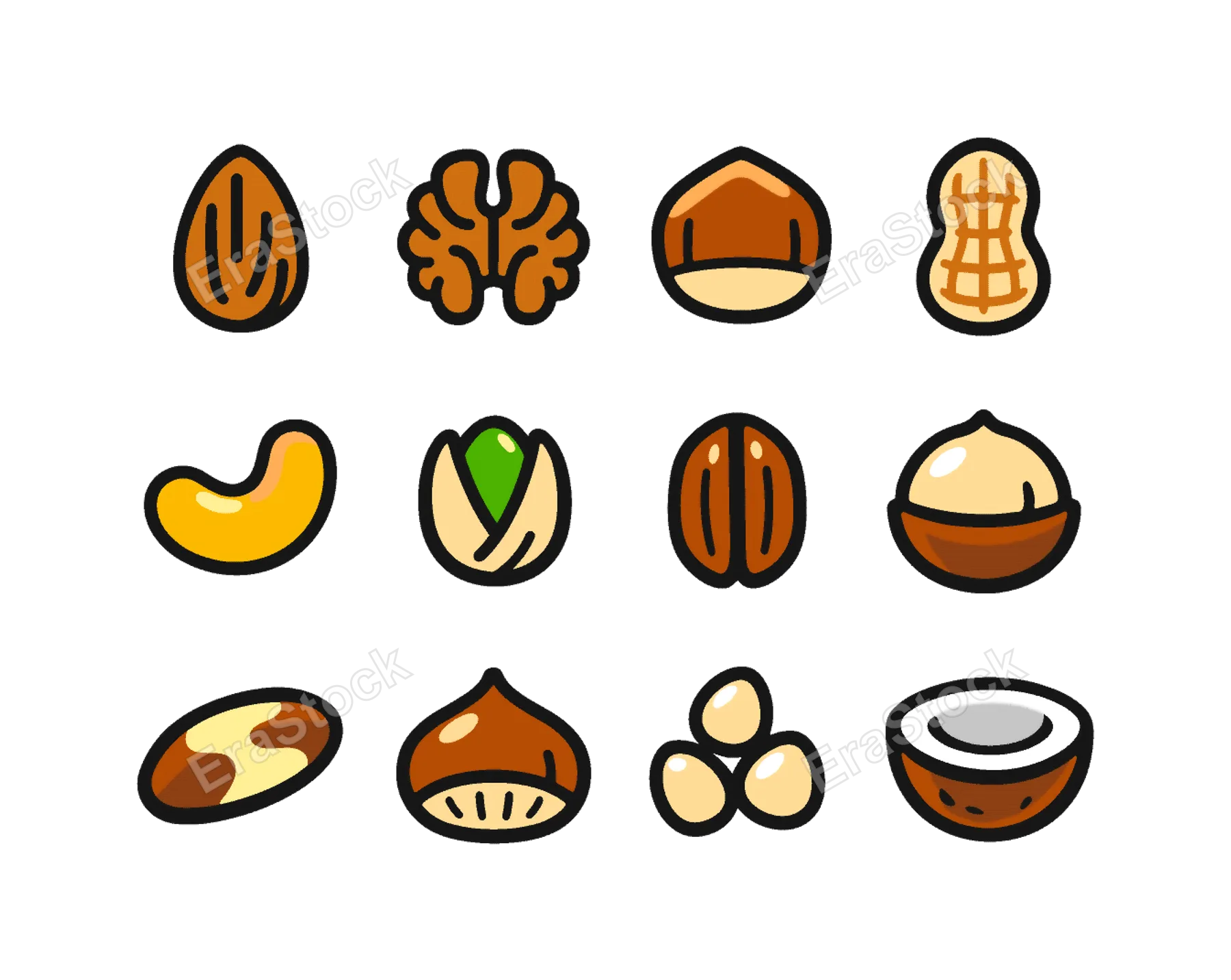 Edible nuts variety: almond, walnut, hazelnut, peanut in shell, cashew, pistachio, pecan, macadamia nut, brazil nut, chestnut, pine nut, coconut half