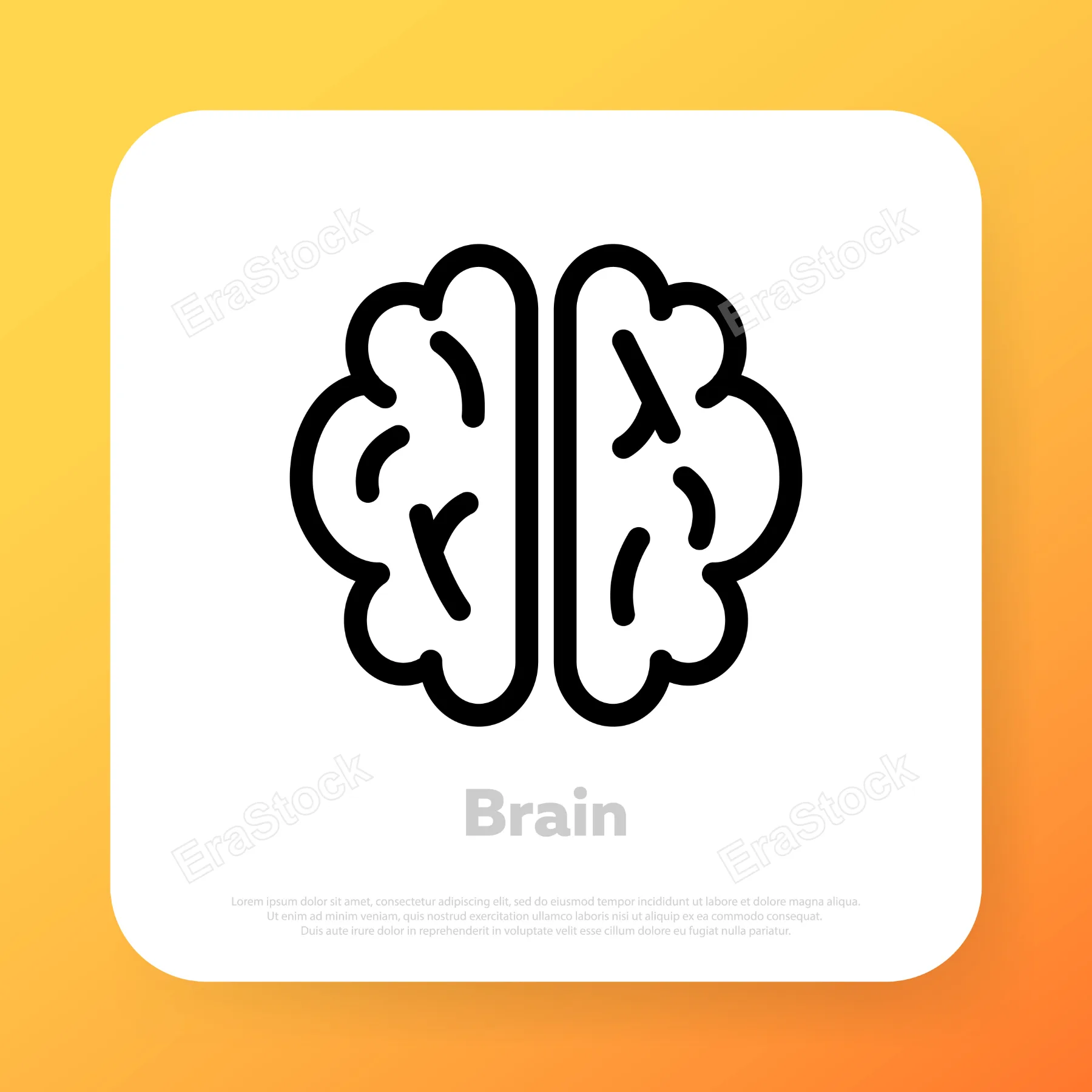 Brain icon. Knowledge concept. Brainstorm. Vector line icon for Business and Advertising.