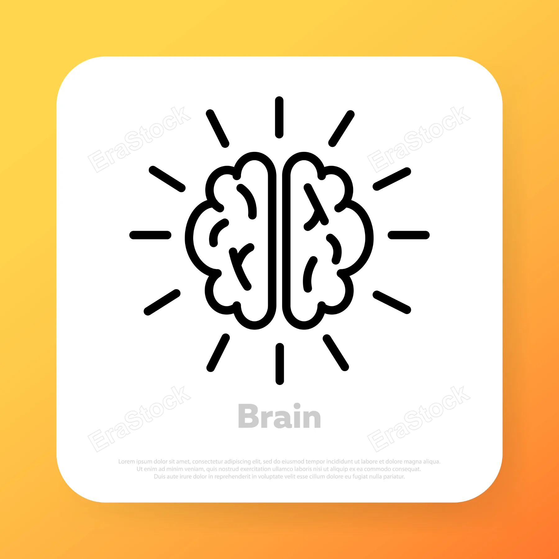 Brain icon. Knowledge concept. Brainstorm. Vector line icon for Business and Advertising.