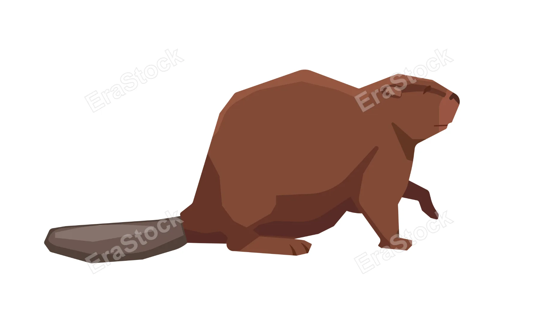 Beaver icon. Animal logo. Vector line icon for Business and Advertising.