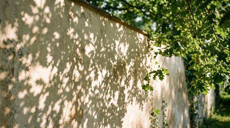 Tree leaf shadows on a wall with soft summer light, delicate dappled patterns and gentle botanical depth, ultra-realistic, no logos.