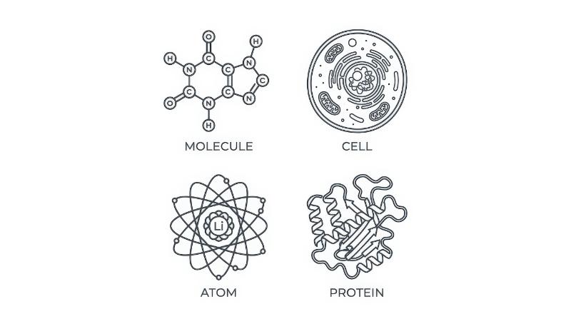 Molecule, cell, atom and protein icons in an editable outline set with scientific precision, clean laboratory-inspired visual language on white, ultra-realistic, no logos.