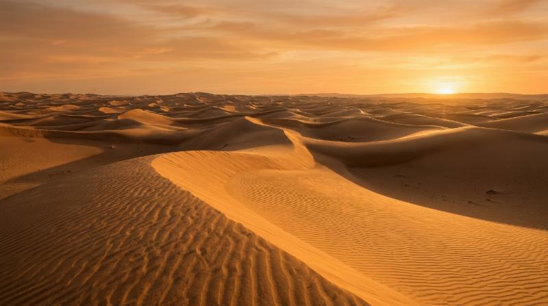 Rolling golden desert dunes stretching beneath a warm orange sky, fine rippled sand textures and long soft shadows, serene sunlit atmosphere, ultra-realistic, no logos.