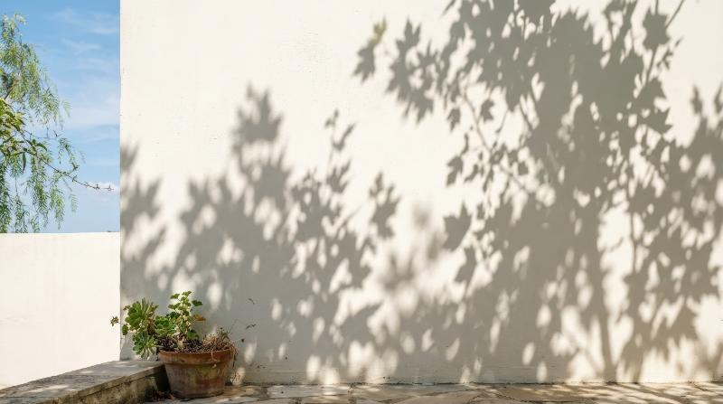 Soft tree leaf shadows falling over a white wall in bright summer light, gentle botanical silhouettes and clean airy minimalism, ultra-realistic, no logos.