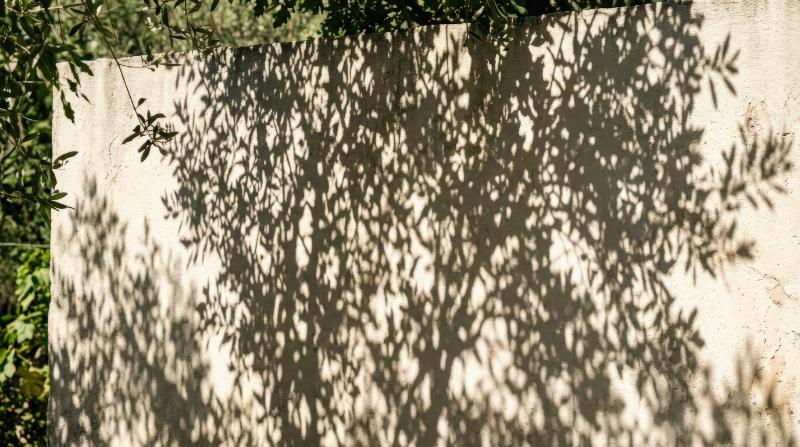Leafy branch shadows cast on a wall, dappled summer light creating subtle organic movement and elegant natural contrast, ultra-realistic, no logos.