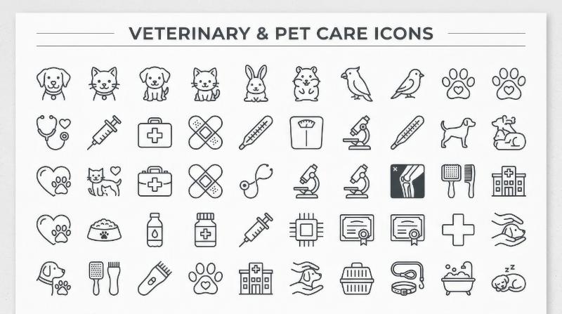Veterinary and pet care icons with animals, clinic tools and wellness symbols in a neat editable outline collection on white, caring and professional, ultra-realistic, no logos.
