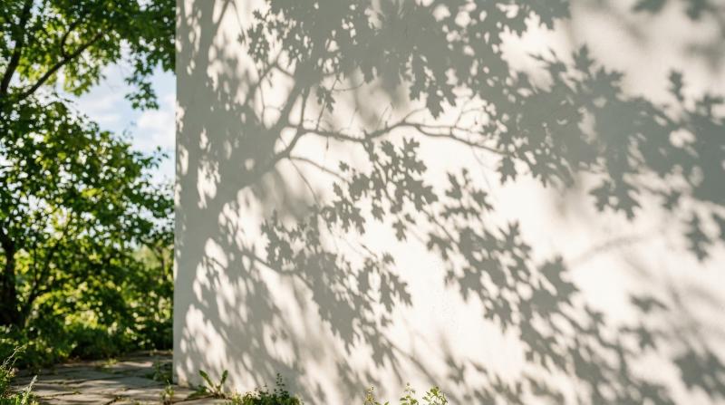 Natural tree leaf shadows drifting across a white wall, soft summer sunlight, airy branch silhouettes and subtle tonal gradients, calm minimal atmosphere, ultra-realistic, no logos.
